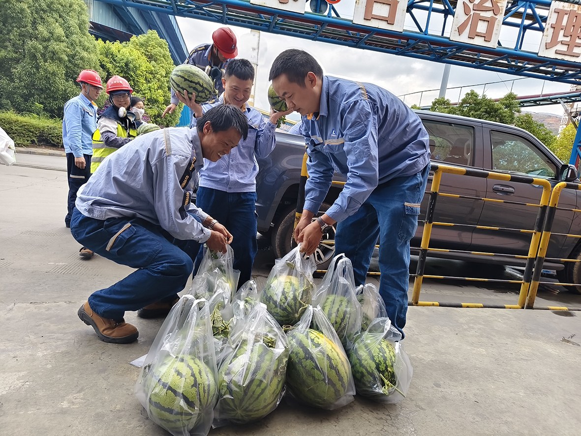 图为凉山矿业工会开展“夏日送清凉”慰问活动。陈静 摄